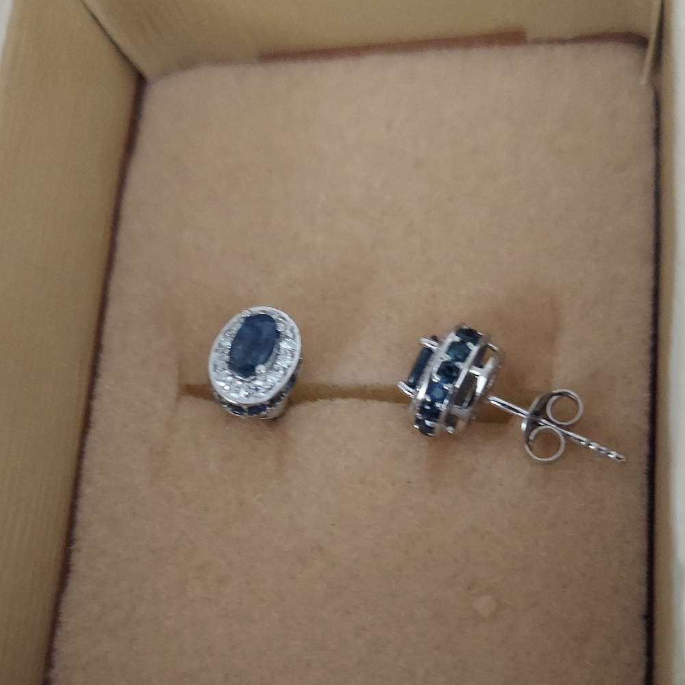 Kanchanaburi Blue Sapphire And Moissanite Stud Earrings